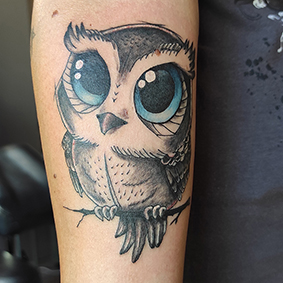 Little Owl