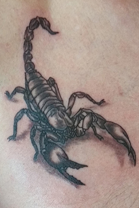 Scorpion 